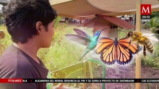 Joven mexicana recibe premio por su defensa del medio ambiente en Chiapas