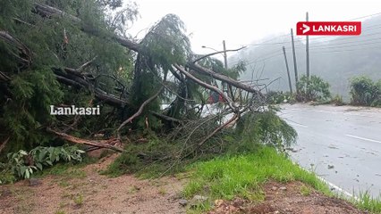 நுவரெலியாவில் வீட்டின் மீது மரம் விழுந்து வீடு தீப்பிடித்தது.