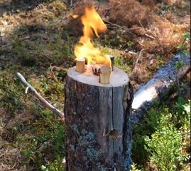 How not to stay hungry in the woods!