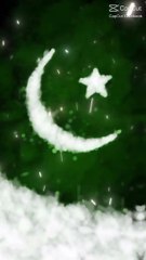 Funny and  intertainment videos