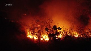 Desmatamento avança no Cerrado brasileiro e supera pela 1ª vez a Amazônia