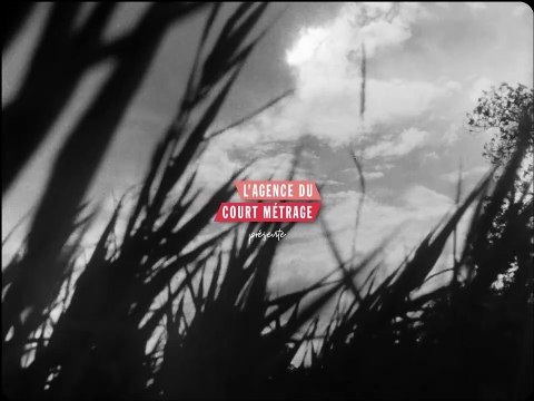 Partie de campagne Bande-annonce VF