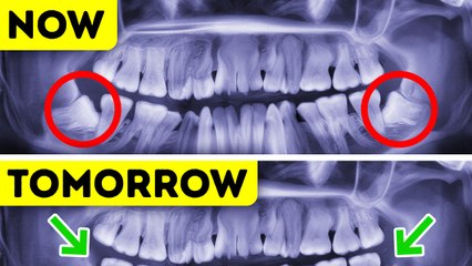 The Most Surprising Body Trivia You'll Ever Hear