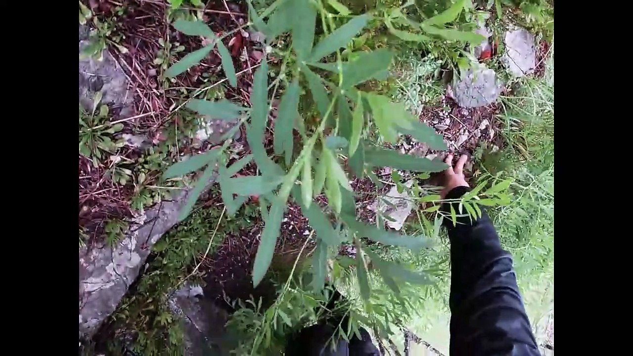 Climbing in extremly wet conditions