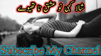 Koi rohi yad krendi hai / Saraki song /slow music