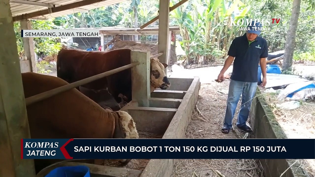 AFF dan PSSI Cek Kesiapan Stadion untuk Piala AFF U16