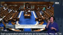 Shock disruption: Sitting of Irish parliament suspended during Israel/Palestine debate
