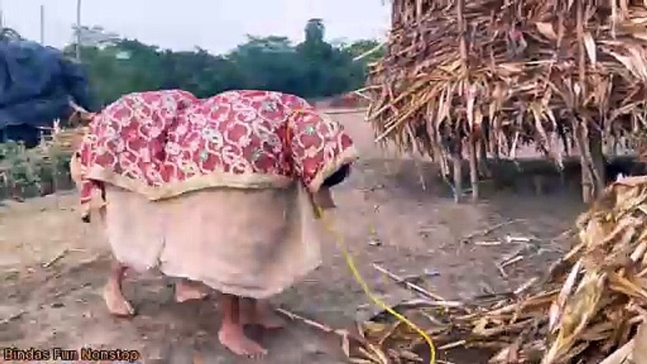 Must Watch Fasa Fasi Part_2 Top New Funny Comedy Video __ By Bindas Fun Nonstop