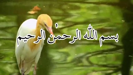 Islamic video about life of Hazrat Mohammad pbuh