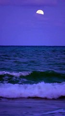 Part of tonight full moon rising over the Atlantic Ocean. Filmed from the Beach in Bal Harbour, Florida