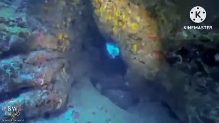 "Mysterious discoveries that the world has failed to explain"