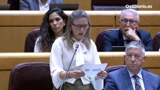 Una senadora del PP, al Gobierno: “Primero sueltan violadores y ahora quieren construir túneles para que las mujeres puedan ser acosadas más fácilmente”