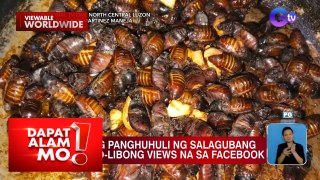 Pritong salagubang, ibinida sa Ilocos Norte | Dapat Alam Mo!