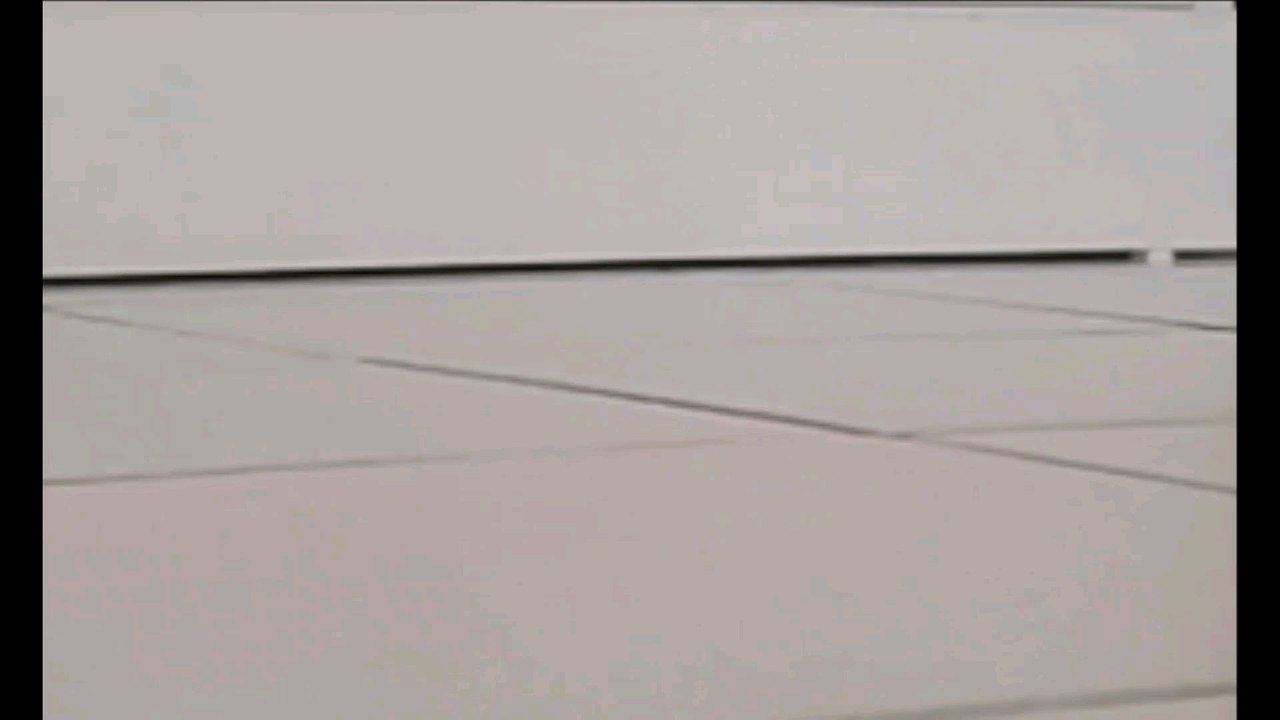 2fast2furious