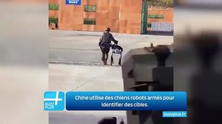 Chine utilise des chiens robots armés pour identifier des cibles.
