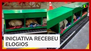 Posto de combustíveis adota e cria abrigo para cachorros de rua em Santa Catarina