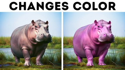 90 Random Facts to Level Up Your Conversations