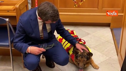 Marley, il cane lupo cieco, a Montecitorio con "l'amico" Rex della Polizia. Ecco le immagini