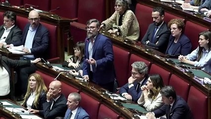 Il M5s sventola in Aula la bandiera della Palestina, intervengono i commessi