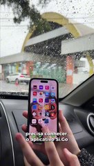 Conheça o app de bilhetagem eletrônica do ferry-boat entre Itajaí e Navegantes