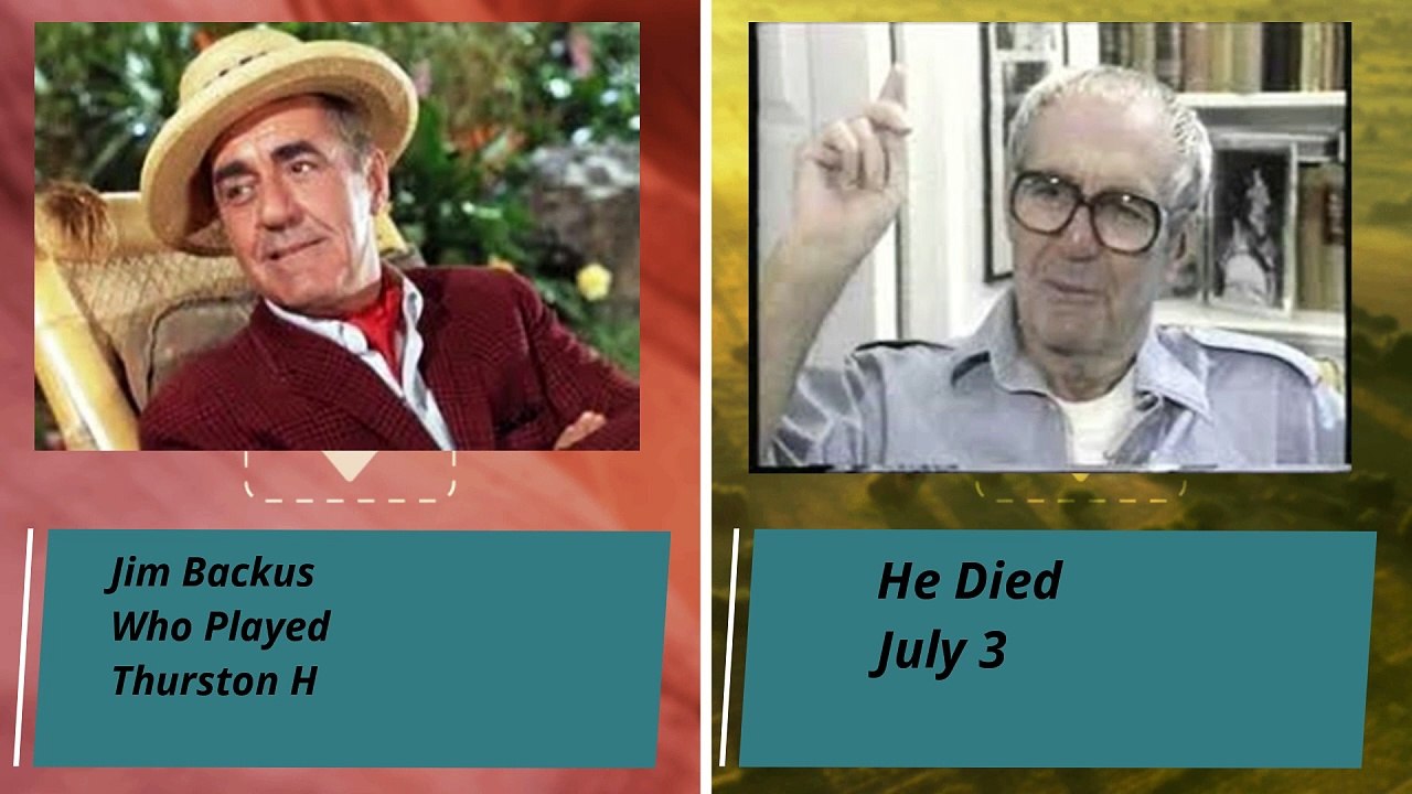 Gilligan's Island TV Series Cast Then And Now 2024