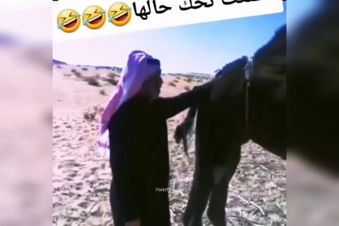 Arabic Memes  part 1