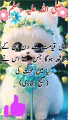 Aadami kya mat ke din