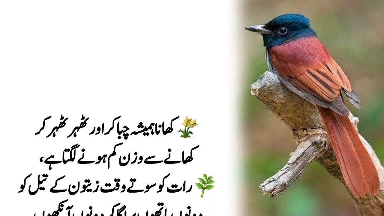 Deep quotes in urdu
