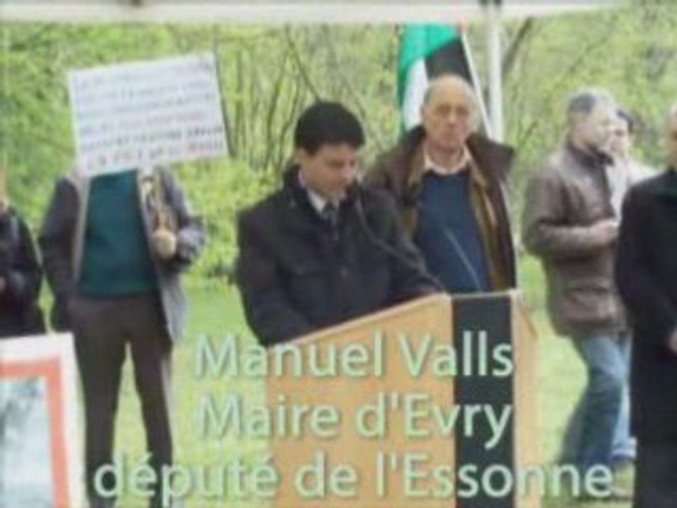 UN OLIVIER POUR LA PAIX