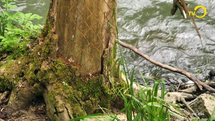 Sans commentaire: Oeuvre humaine ou oeuvre de la Nature ?