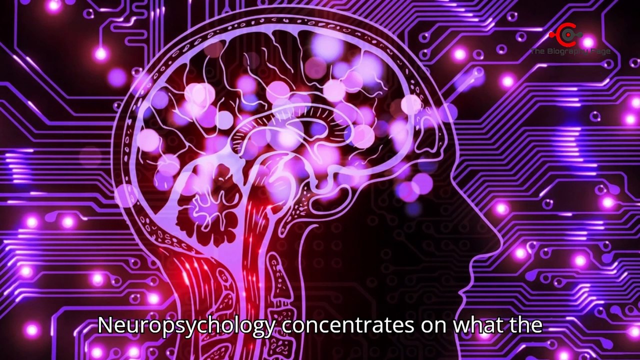 How Much of Your Brain Do You Actually Use? 10% Myth education 2024