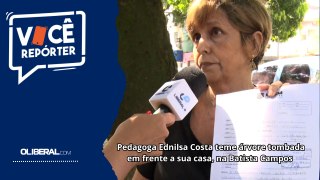 Pedagoga Ednilsa Costa teme árvore tombada em frente a sua casa, na Batista Campos 