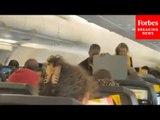 SHOCK VIDEO: Spirit Airlines Flight Forced To Make Emergency Landing With Mechanical Issue