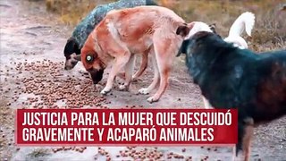 Justicia para la mujer que descuidó gravemente y acaparó animales