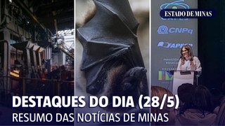 Destaques do dia (28/5): Gerdau paralisa usina, e vírus da raiva em BH