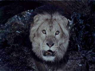 1970s Del Monte TV commercial -Tarzan (believe it, or not) is the spokesman