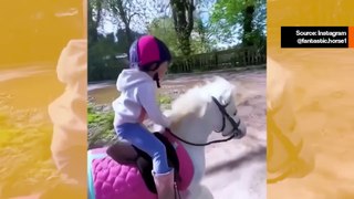 Söpö video tallentaa hevosten ja lasten lämpimän suhteen