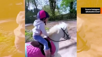 Söpö video tallentaa hevosten ja lasten lämpimän suhteen