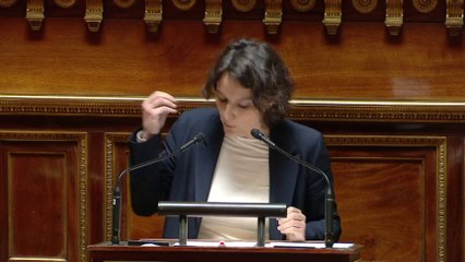 Transidentité des mineurs: Mélanie Vogel s'oppose fermement  au texte LR