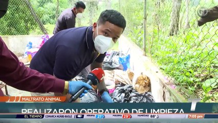 Encuentran cadáveres de animales dentro de bolsas en residencia en Chilibre