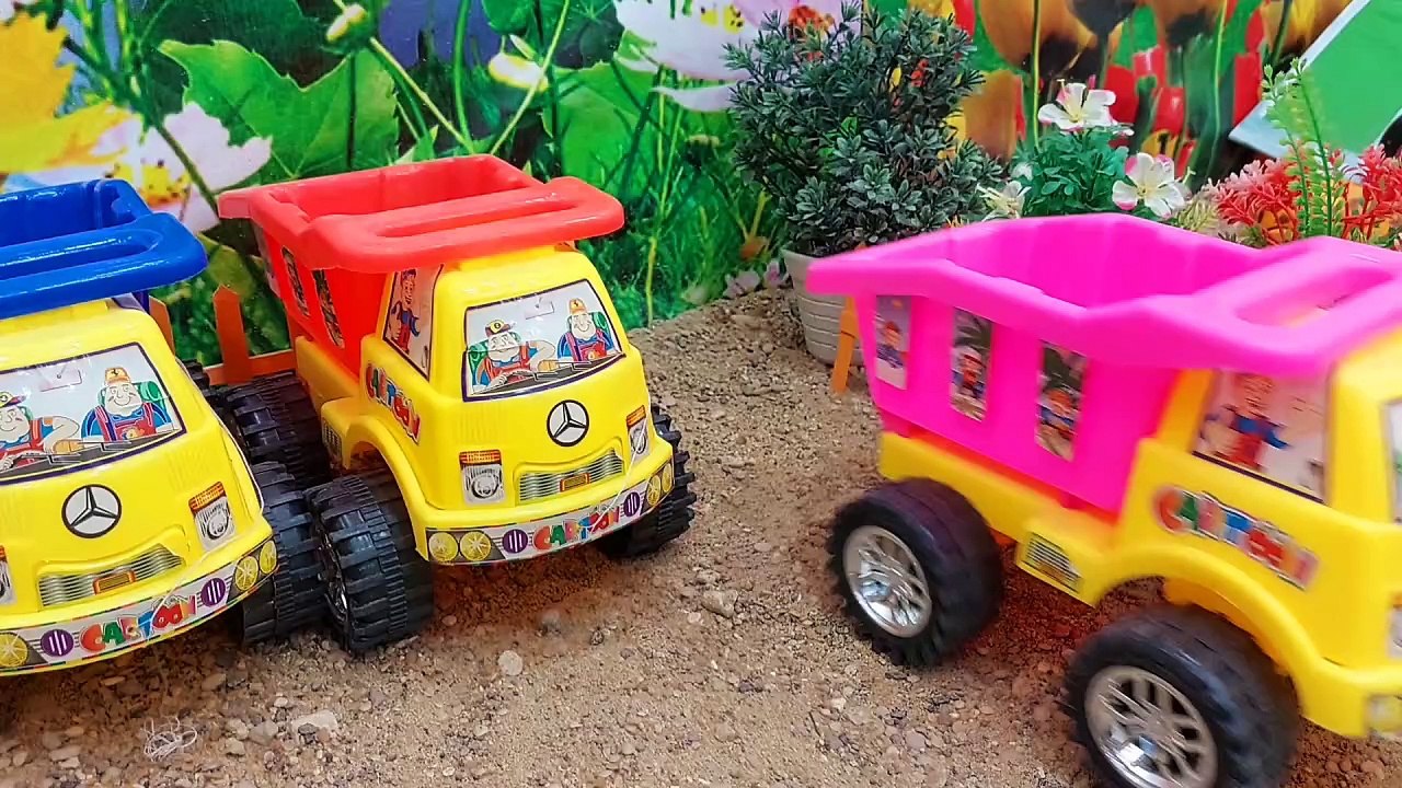 Cow fun videos #3