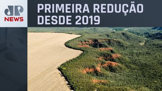 Desmatamento cai quase 12% no Brasil em 2023
