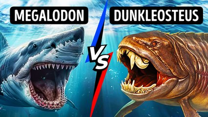 Sea Monsters That Will Make You Wonder What They Eat