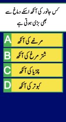Urdu Islamic Quiz Urdu Paheliyan QuaAns quiz time.#ForYou #ForyouPage #Fyp #Viral #ViralVideos #foryoupage #videoviral #500kviews #unitedstates