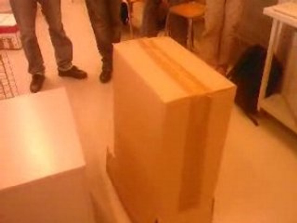 Carton