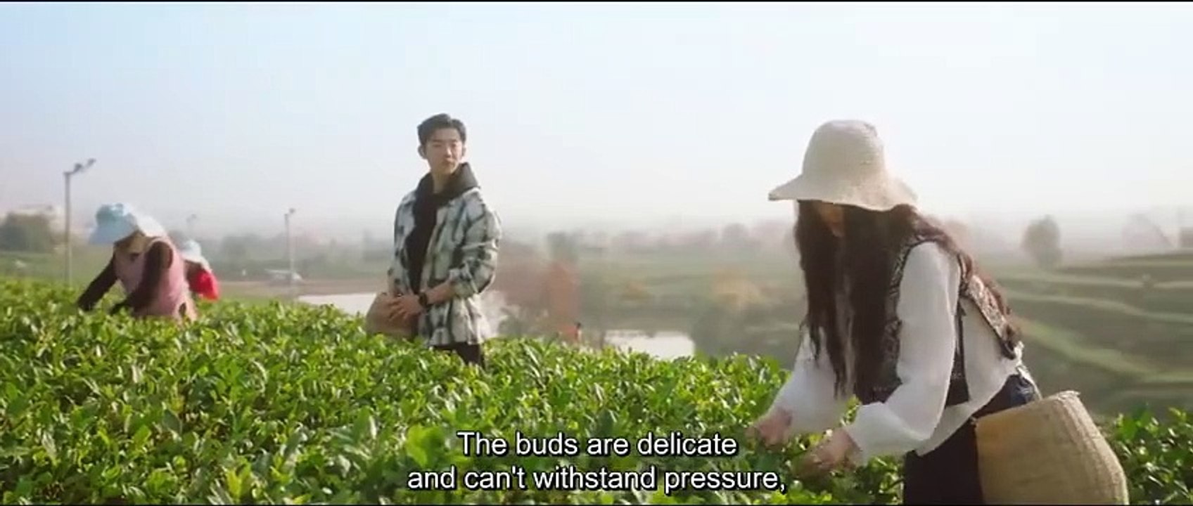 (ENG) Love in the Tea Garden (2024) Ep 4 EngSub