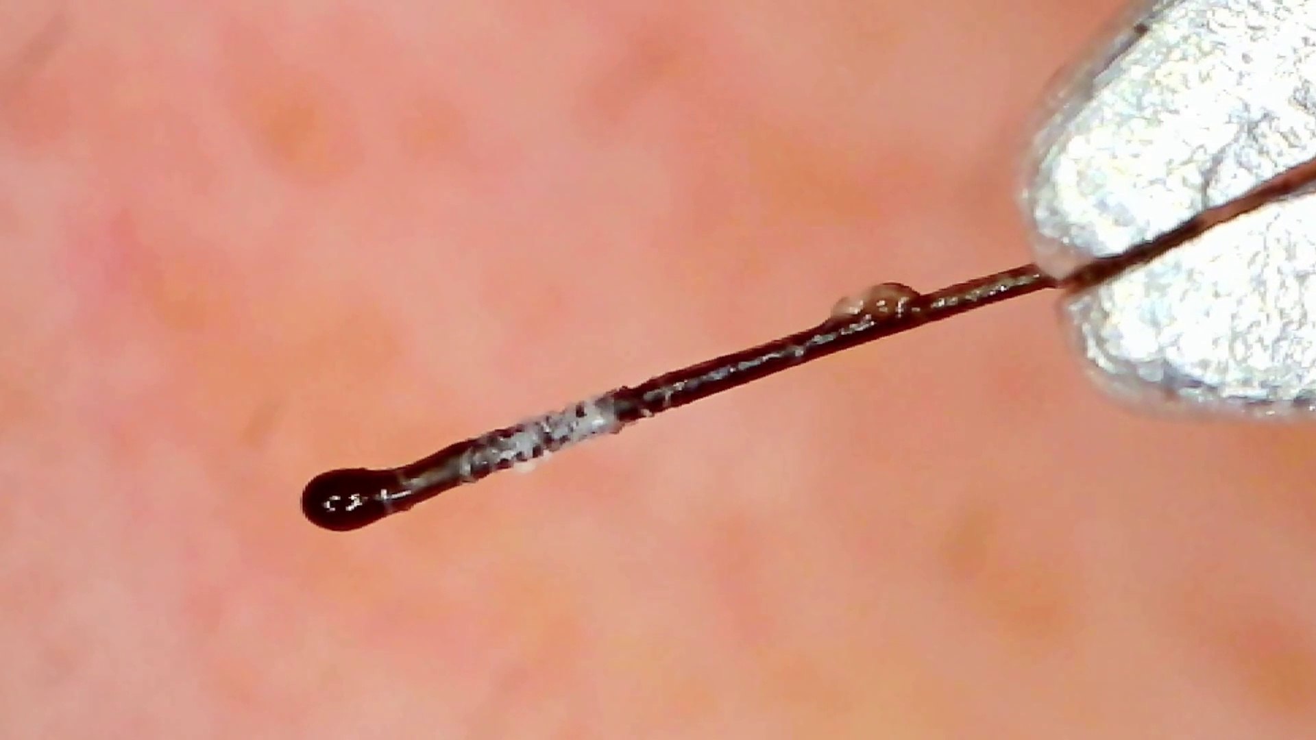 ⁣Élimination de la barbe au microscope et musique rythmique / Microscopic Beard Removal and Rhythmic 