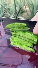 شاهد كيف يتم عمل دواء للمفاصل من الصبار