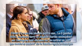 Harry et Meghan  ces deux membres de la famille royale dont ils se rapprochent pour une bonne raiso
