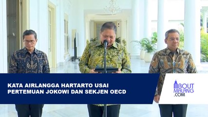 MENKO AIRLANGGA: PERTEMUAN JOKOWI DAN SEKJEN OECD BAHAS KEANGGOTAAN INDONESIA